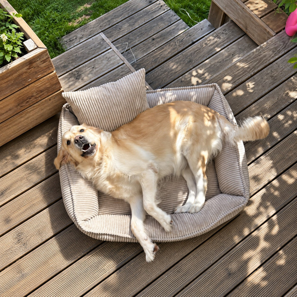 Nino Corduroy Memory Foam Dog Basket Bed – Cloud Grey, L